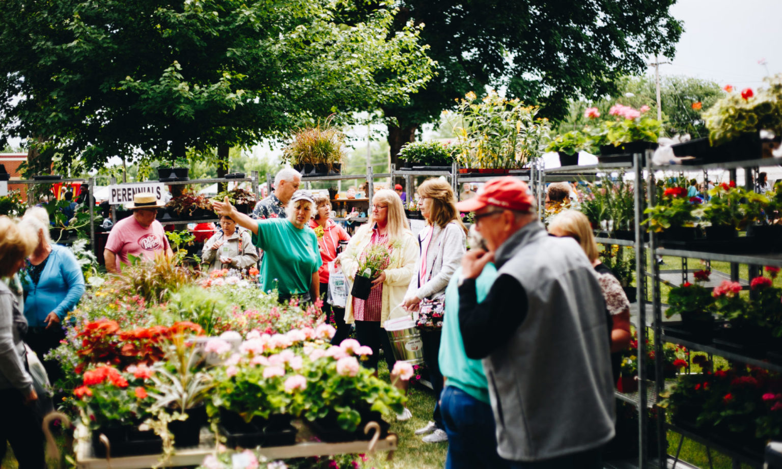 Aledo Rhubarb Festival